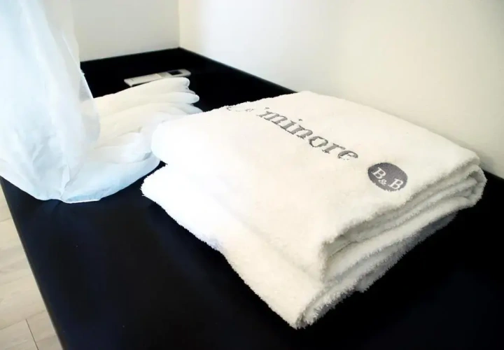 Standard Double room with balcony and with view