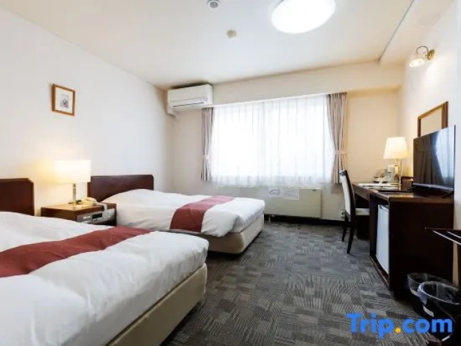 Standard Twin room with city view
