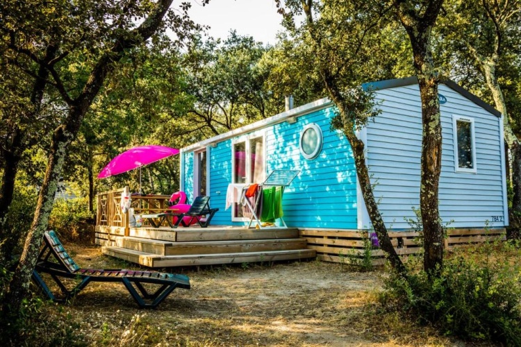 Premium Cottage