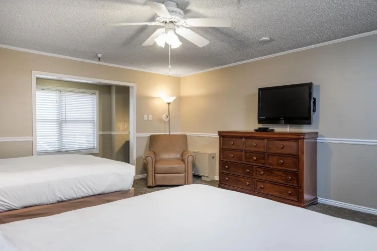 1 Bedroom Suite