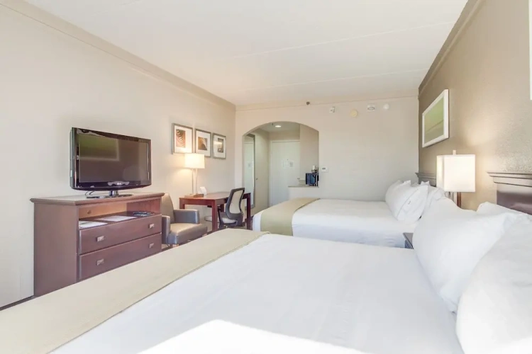 1 Bedroom Suite