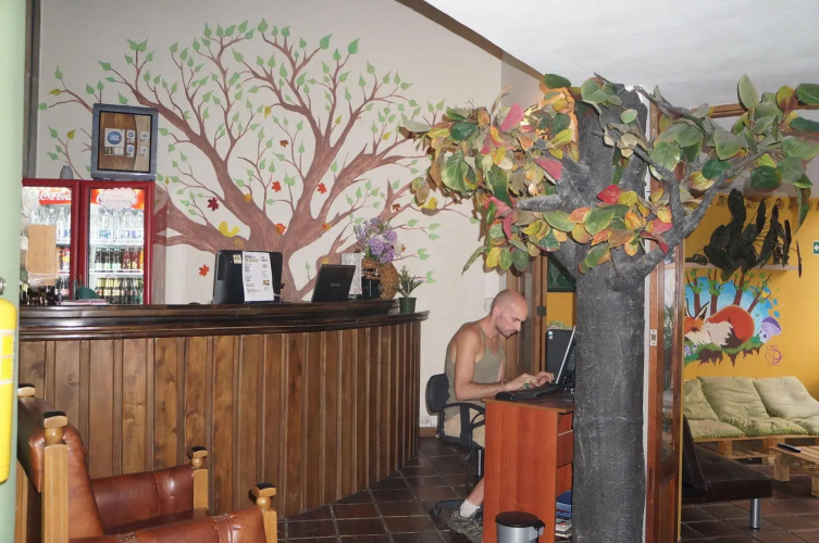 The Garden of Blues Hostel