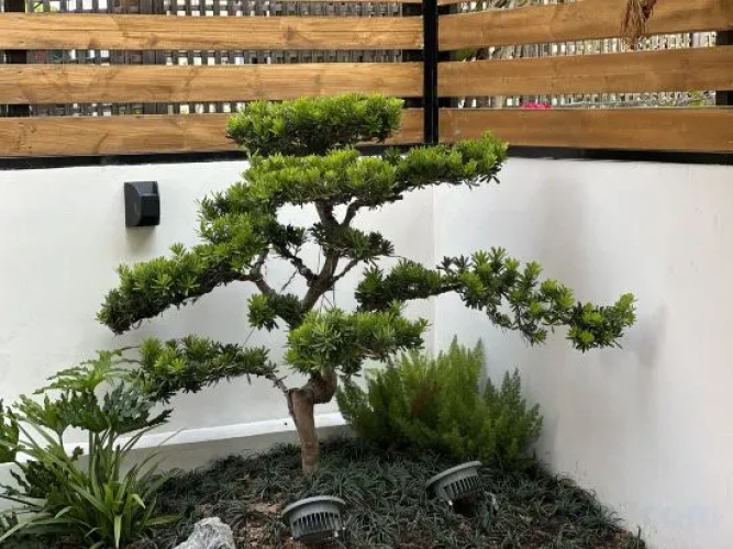 Chuangxuan Homestay