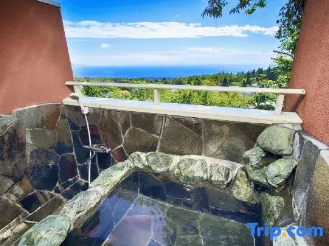 Standard Double room with ocean view