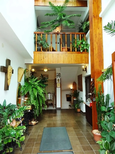 Bai Panzi