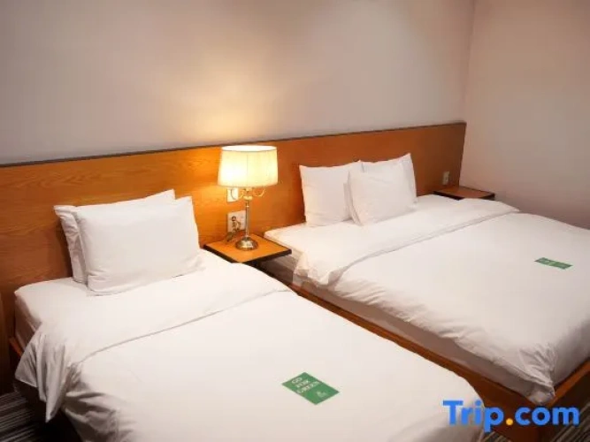 1 Bedroom Deluxe Double room