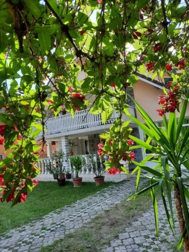 Standard Villa