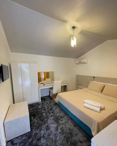 Standard Double room with garden view