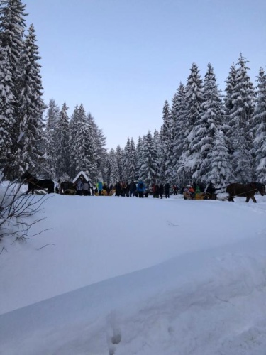 Domek na Cepcowym