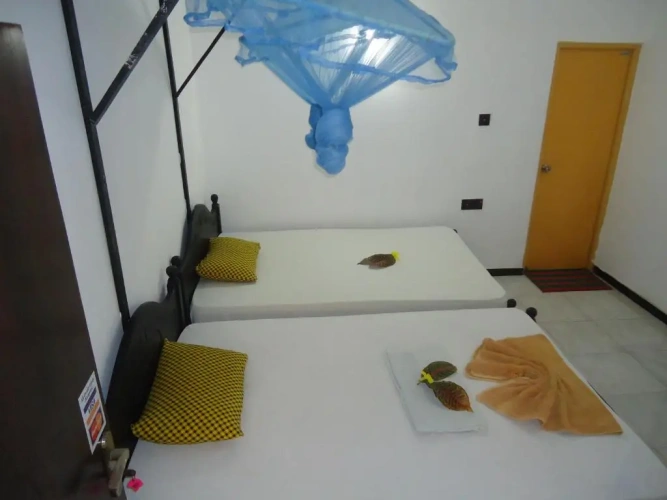 Deluxe Quadruple room with view