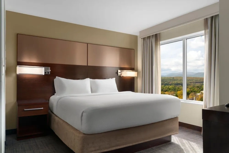 1 Bedroom Suite