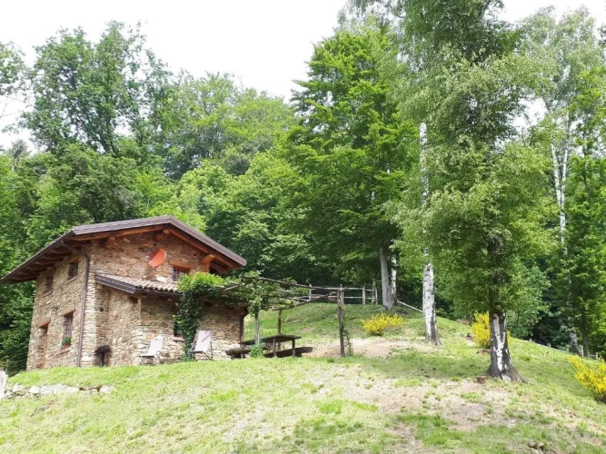 1 Bedroom Chalet