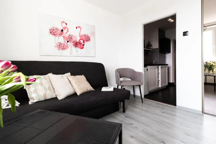 PiotrApartments V