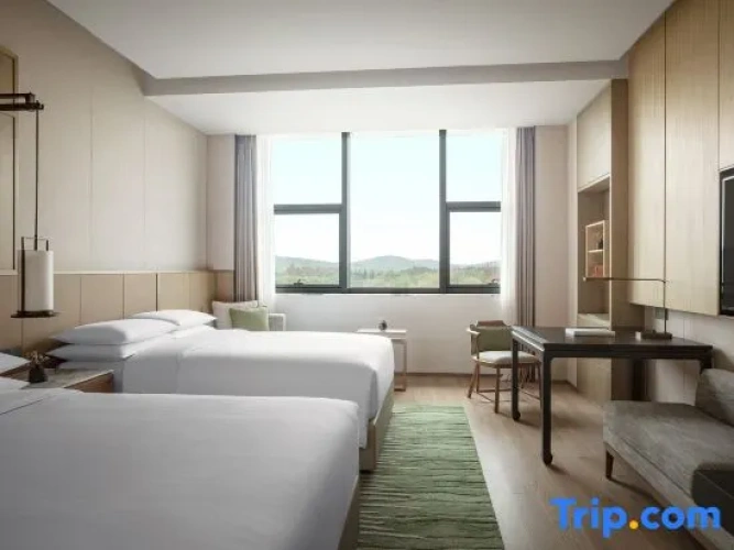 Executive Double Club room
