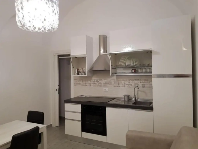 Luxury Apartment