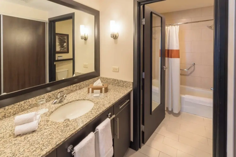 1 Bedroom Suite