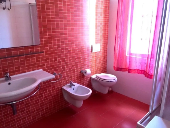Basement Apartment