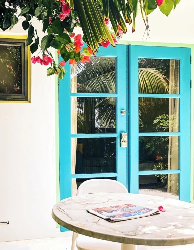 1 Bedroom Basement Apartment