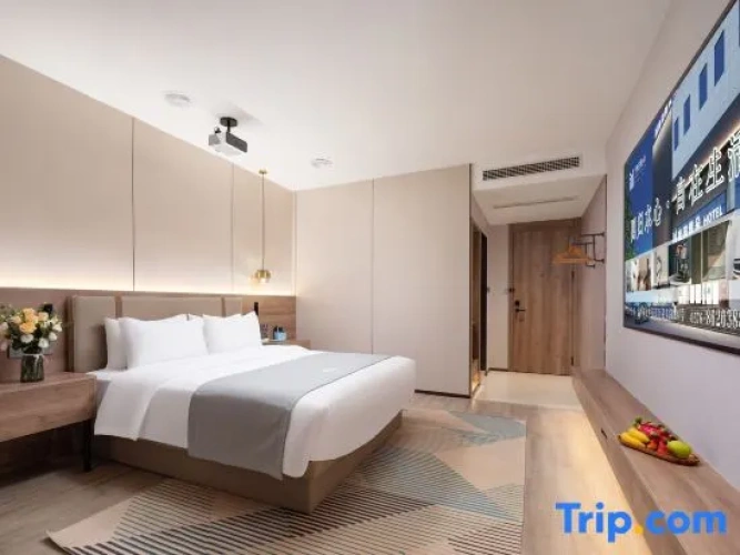 Standard Double room with city view