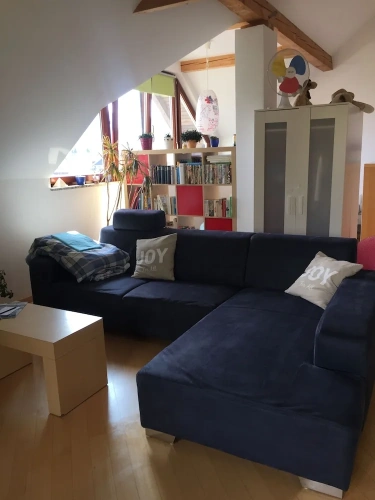 Standard Penthouse room