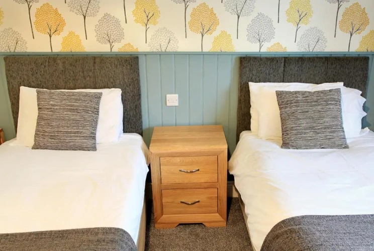 Standard Twin room