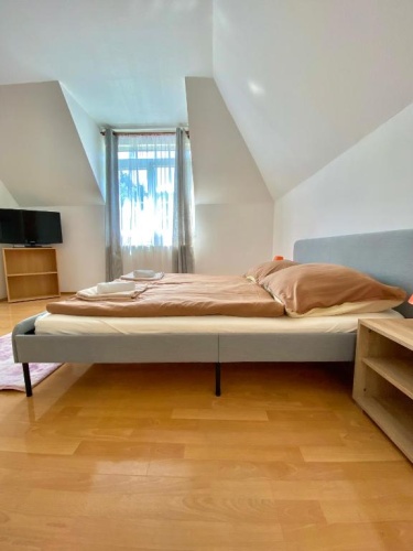 Standard Double room with garden view