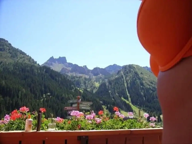 Classic Double room with balcony and with mountain view