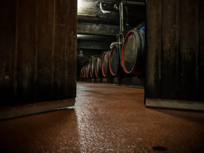 Weingut Tiliahof