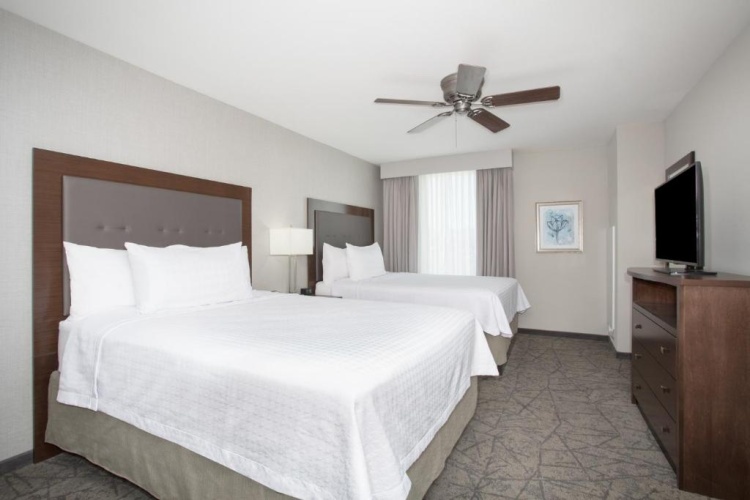 1 Bedroom Quadruple Suite