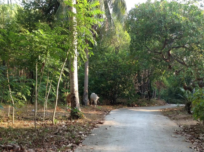 Seaside Home Stay