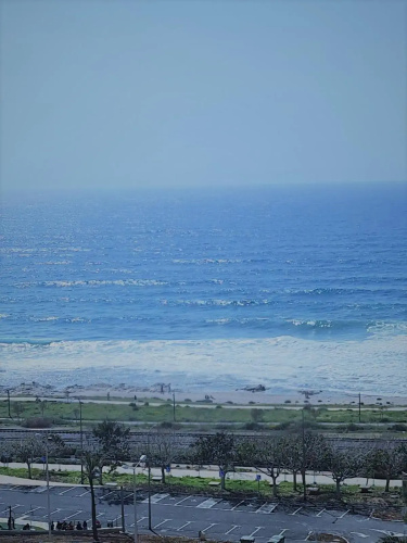 Rotem Home