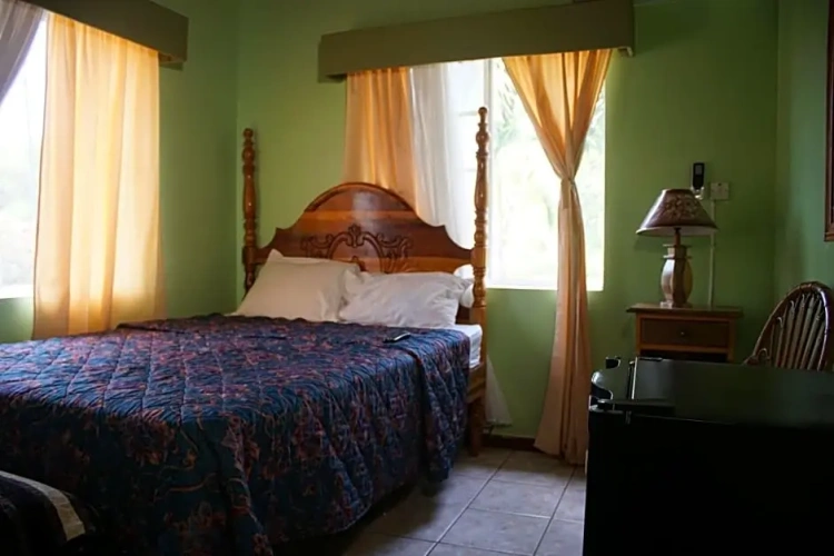 Standard Double room with garden view