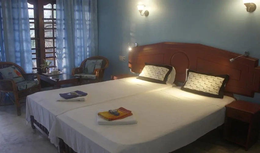 Deluxe Double room with balcony and with view