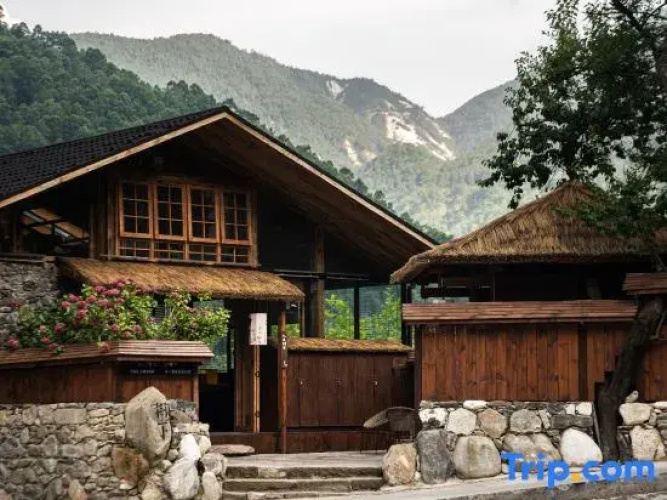 Under the Tree Art Hot Spring Homestay