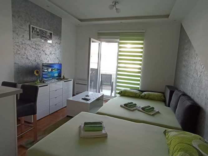 Apartment Leo 11