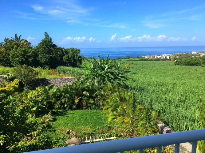 1 Bedroom Premium Apartment with sea view