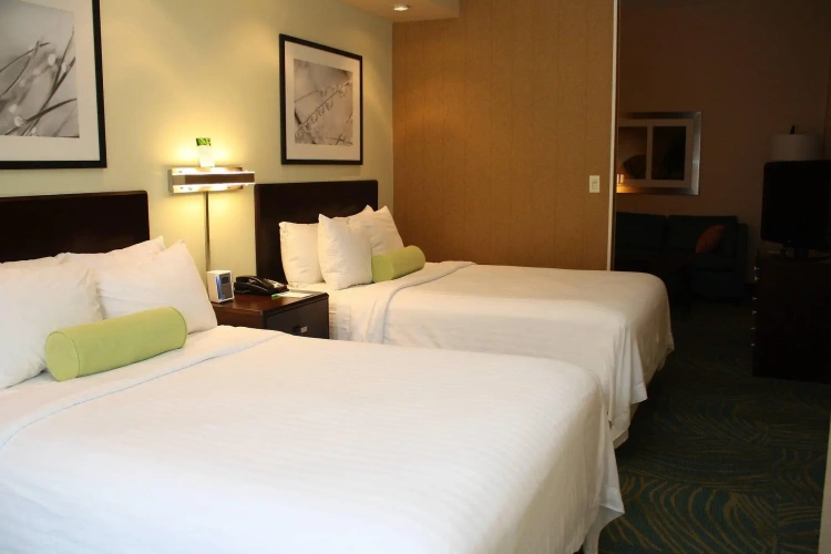Quadruple Suite