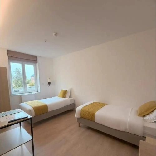 Standard Twin room with park view