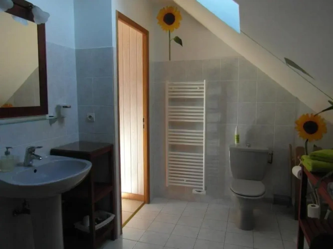 Standard Double room with garden view