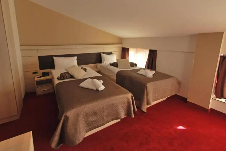 1 Bedroom Suite