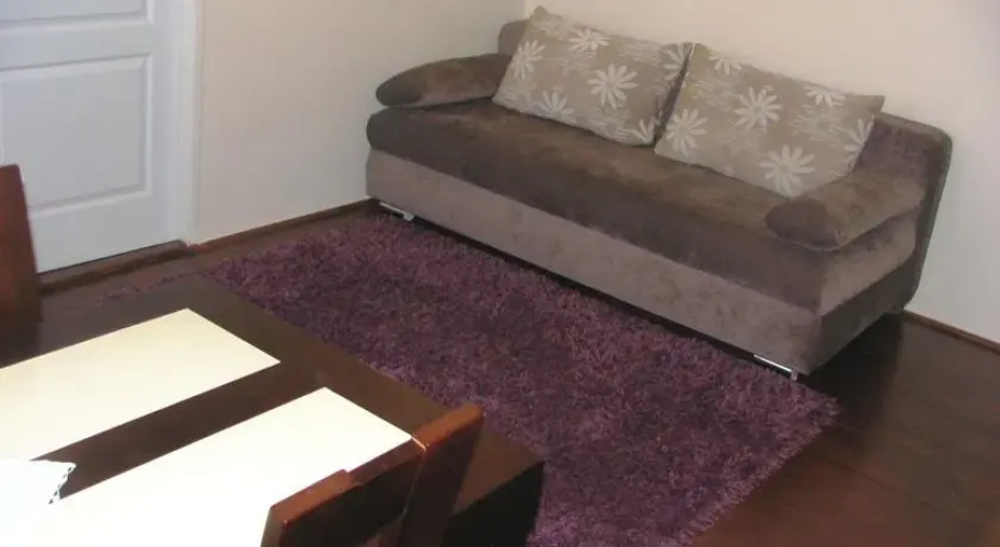 Apartament Kasztanowy Centrum