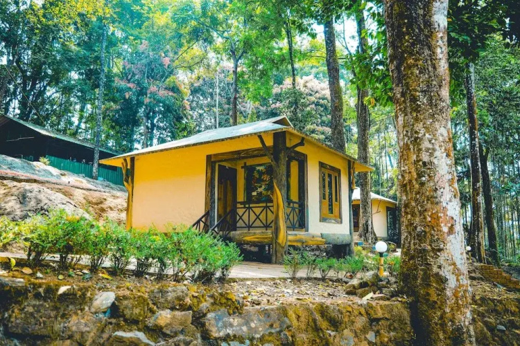 Vythiri Wild Forest Resort