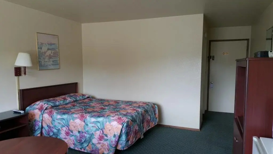 Safari Inn