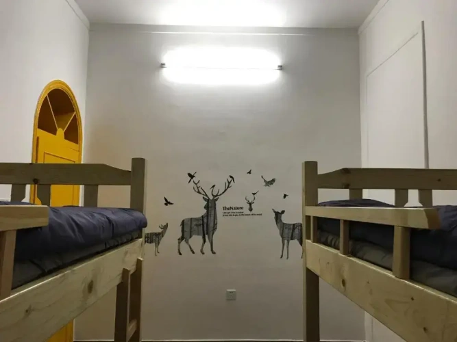 Bed in Dorm (male dorm)