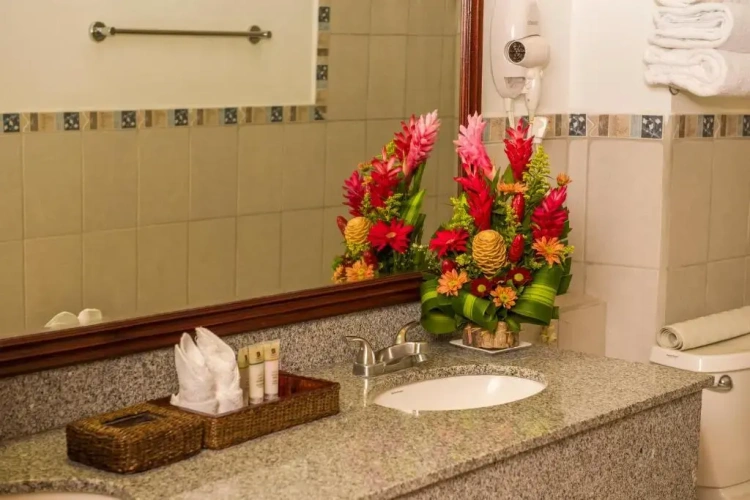 Superior Twin room with garden view