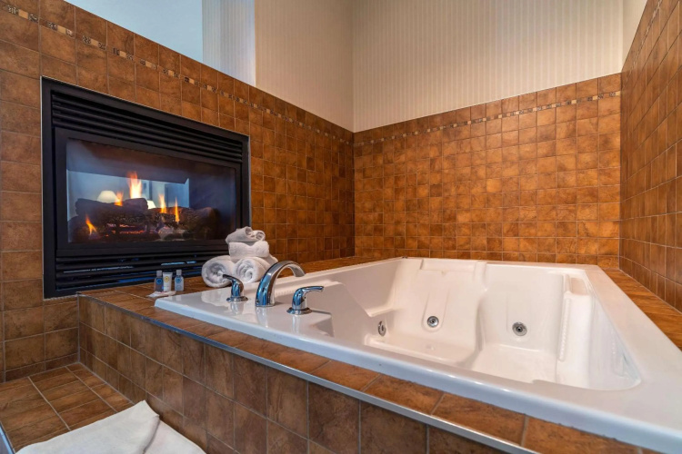 Comfort Inn & Suites Surrey Hotel photo 19