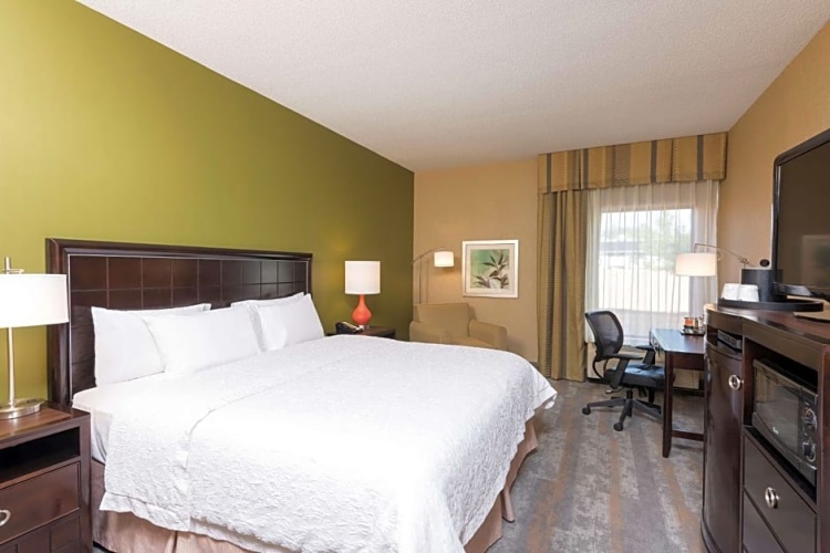 Double Family Suite