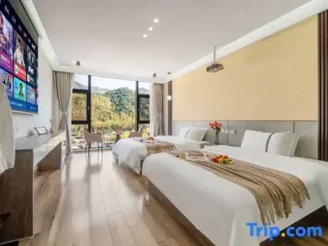 Standard Twin room with view