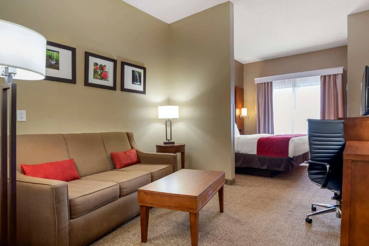 1 Bedroom Suite