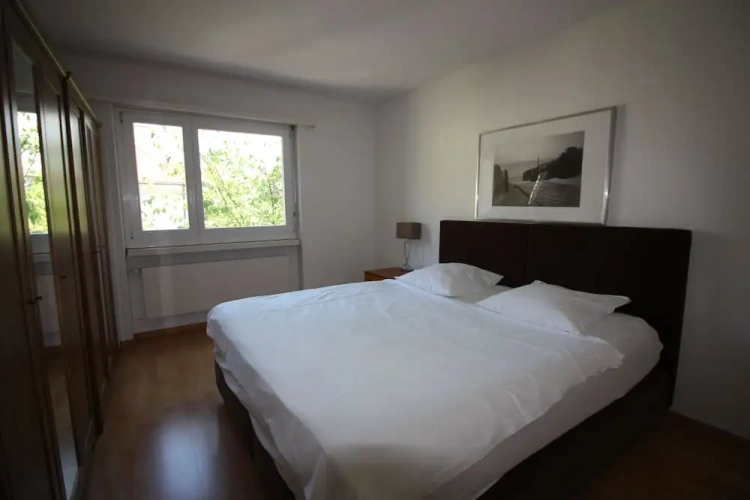 Comfort Apartment
